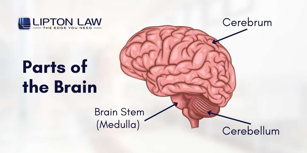 medical malpractice lawyers michigan