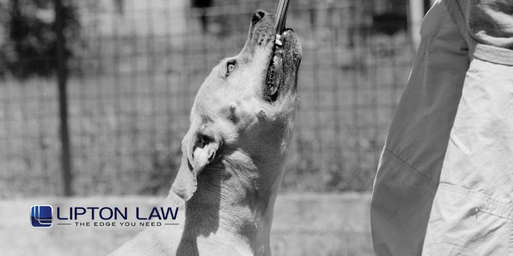 sterling heights mi personal injury law firm