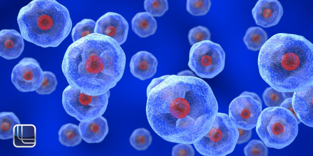 Cyclospora Lawyer